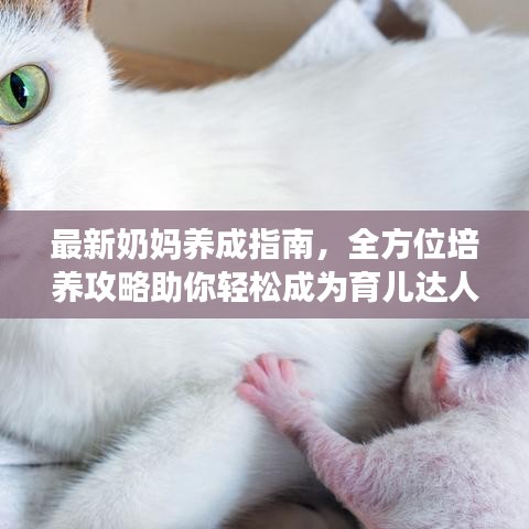 最新奶妈养成指南，全方位培养攻略助你轻松成为育儿达人！