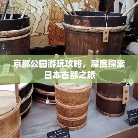 京都公园游玩攻略，深度探索日本古都之旅