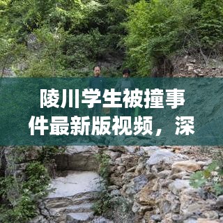 陵川学生被撞事件最新版视频，深度回顾与解析