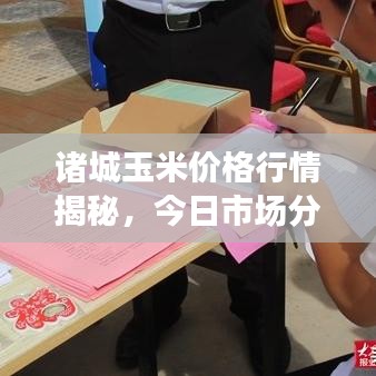 诸城玉米价格行情揭秘，今日市场分析与趋势预测