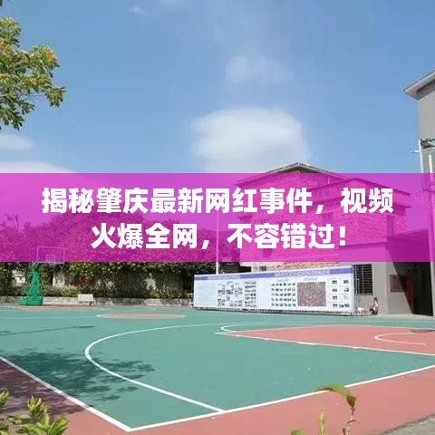 揭秘肇庆最新网红事件，视频火爆全网，不容错过！