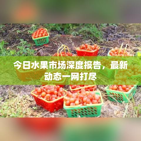 今日水果市场深度报告，最新动态一网打尽