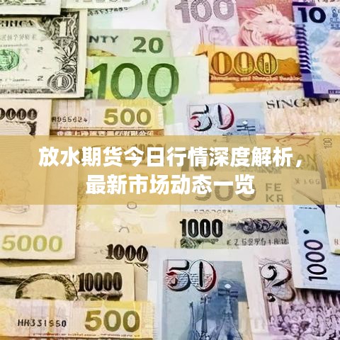 放水期货今日行情深度解析，最新市场动态一览