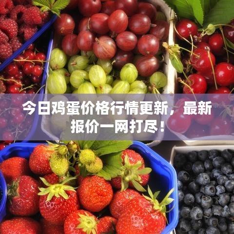 今日鸡蛋价格行情更新，最新报价一网打尽！