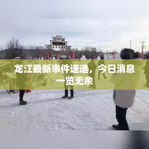 龙江最新事件速递，今日消息一览无余