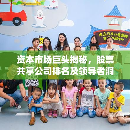 资本市场巨头揭秘，股票共享公司排名及领导者洞察