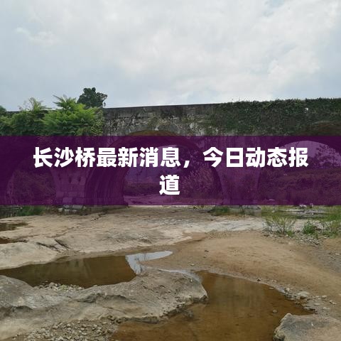 长沙桥最新消息，今日动态报道