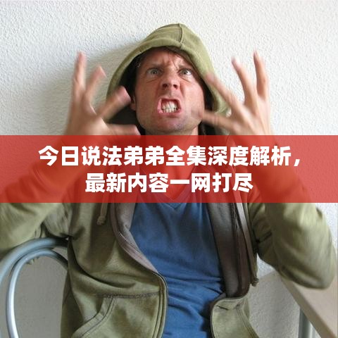 今日说法弟弟全集深度解析，最新内容一网打尽