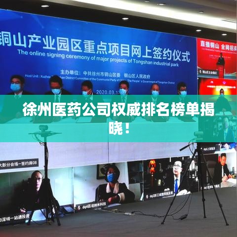 徐州医药公司权威排名榜单揭晓！