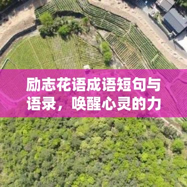 励志花语成语短句与语录，唤醒心灵的力量源泉