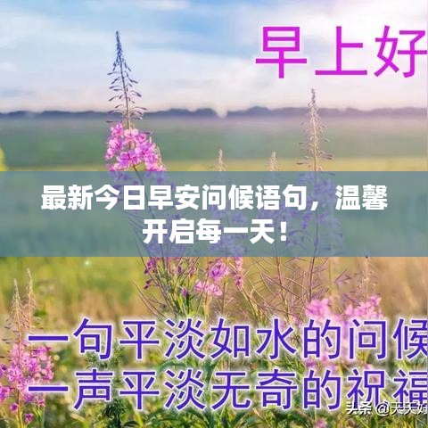 最新今日早安问候语句，温馨开启每一天！