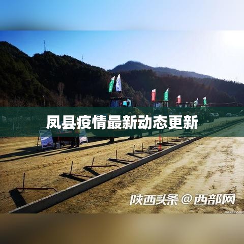 凤县疫情最新动态更新