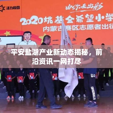平安盐湖产业新动态揭秘，前沿资讯一网打尽