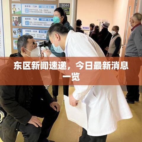 东区新闻速递，今日最新消息一览