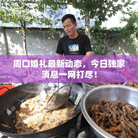 周口婚礼最新动态，今日独家消息一网打尽！