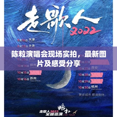 陈粒演唱会现场实拍，最新图片及感受分享