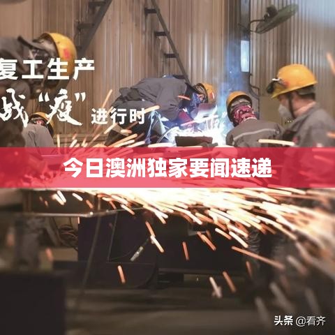 今日澳洲独家要闻速递