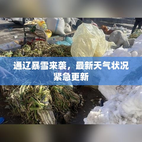 通辽暴雪来袭，最新天气状况紧急更新