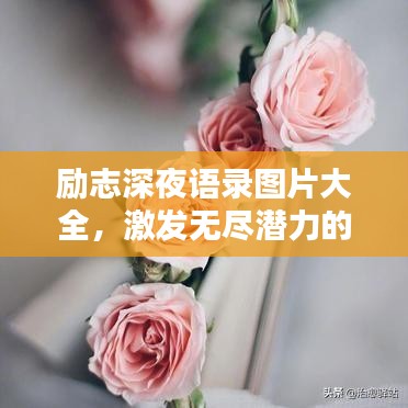 励志深夜语录图片大全，激发无尽潜力的深夜力量，振奋心灵！