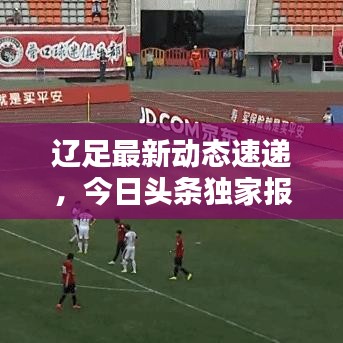 辽足最新动态速递，今日头条独家报道