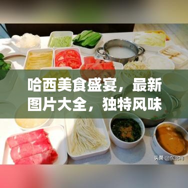 哈西美食盛宴，最新图片大全，独特风味尽展风采