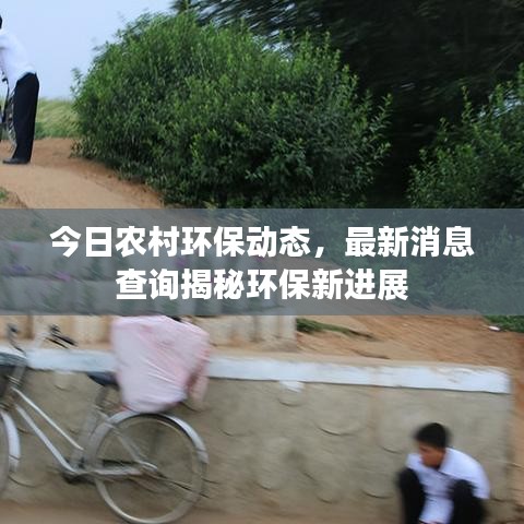 今日农村环保动态，最新消息查询揭秘环保新进展