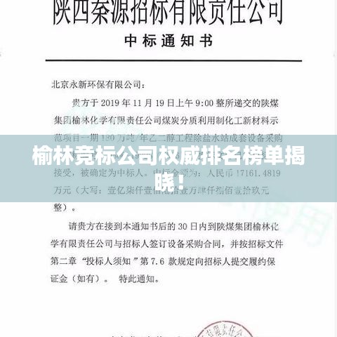 榆林竞标公司权威排名榜单揭晓！