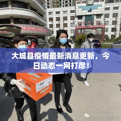 大城县疫情最新消息更新，今日动态一网打尽！