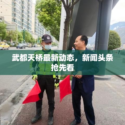 武都天桥最新动态，新闻头条抢先看