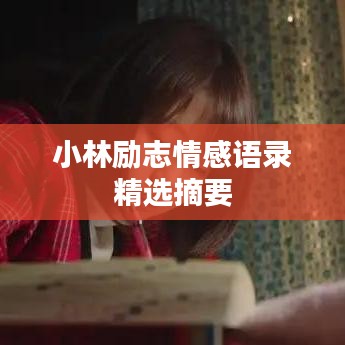 小林励志情感语录精选摘要
