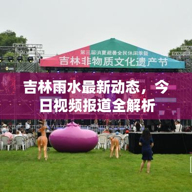 吉林雨水最新动态，今日视频报道全解析