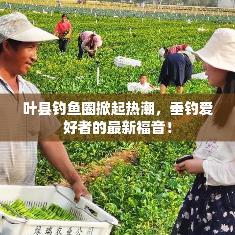 叶县钓鱼圈掀起热潮，垂钓爱好者的最新福音！