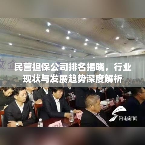民营担保公司排名揭晓，行业现状与发展趋势深度解析