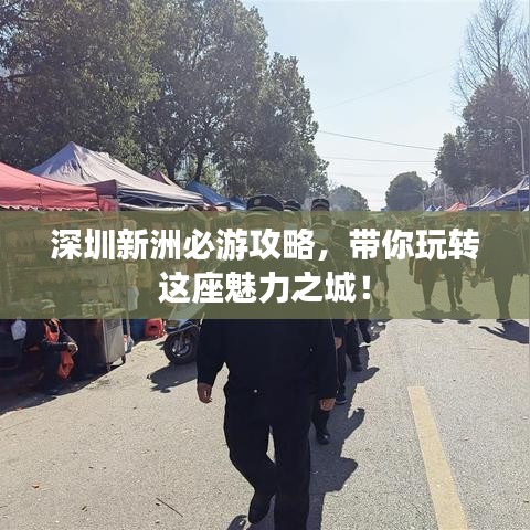 深圳新洲必游攻略，带你玩转这座魅力之城！