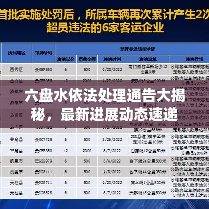 六盘水依法处理通告大揭秘，最新进展动态速递