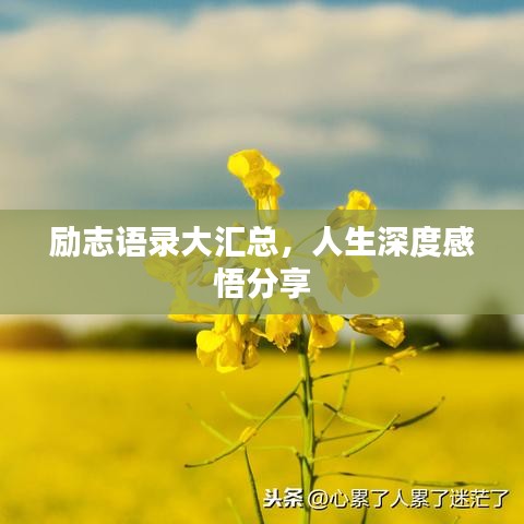 励志语录大汇总，人生深度感悟分享