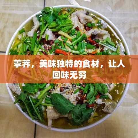 蛙鸣鼓吹 第2页