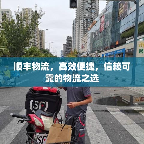 顺丰物流，高效便捷，信赖可靠的物流之选