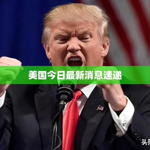美国今日最新消息速递