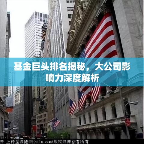 基金巨头排名揭秘，大公司影响力深度解析