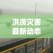 洪涝灾害最新动态，灾害影响分析，新闻头条全掌握