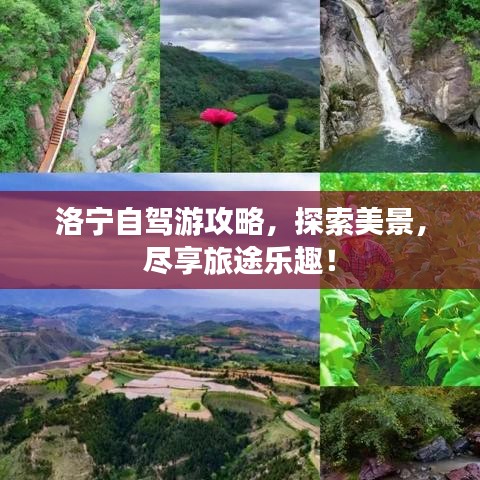 洛宁自驾游攻略，探索美景，尽享旅途乐趣！