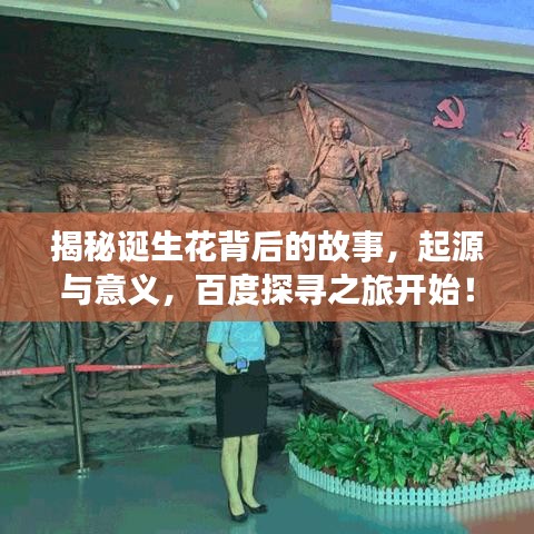 揭秘诞生花背后的故事，起源与意义，百度探寻之旅开始！