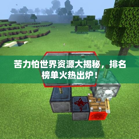 苦力怕世界资源大揭秘，排名榜单火热出炉！