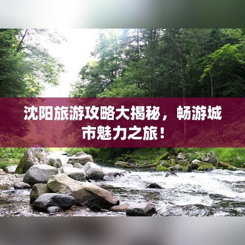 沈阳旅游攻略大揭秘，畅游城市魅力之旅！