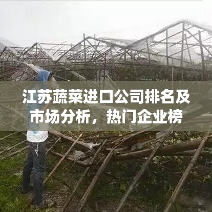 江苏蔬菜进口公司排名及市场分析，热门企业榜单与趋势解读