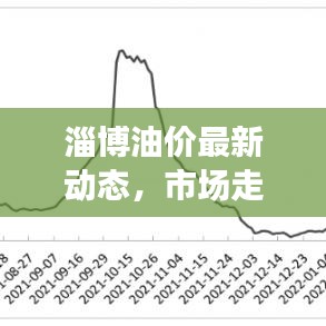 淄博油价最新动态，市场走势深度分析与预测