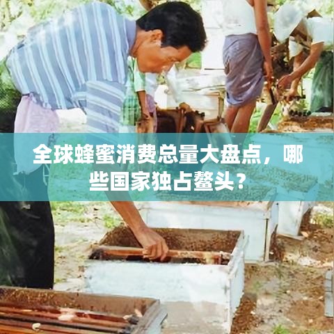 全球蜂蜜消费总量大盘点，哪些国家独占鳌头？