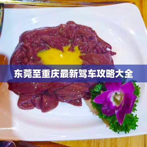 东莞至重庆最新驾车攻略大全