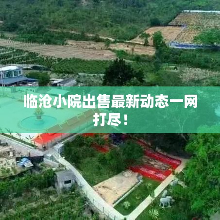 临沧小院出售最新动态一网打尽！